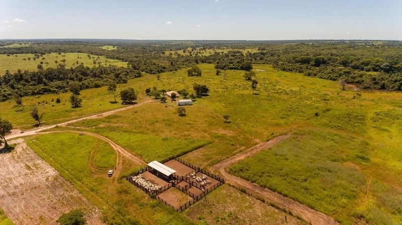 Fazenda, 100 alq. (484 Ha), em São M. do Araguaia-GO 363 ha agricultáv: 18ª foto da galeria de imagens do imóvel