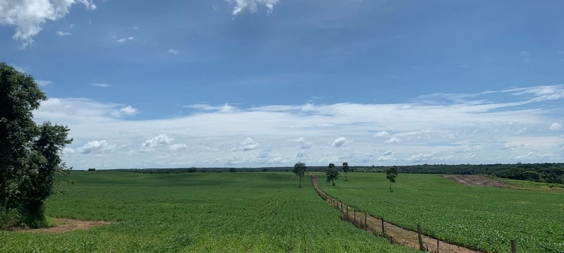 Fazenda, 100 alq. (484 Ha), em São M. do Araguaia-GO 363 ha agricultáv: 24ª foto da galeria de imagens do imóvel