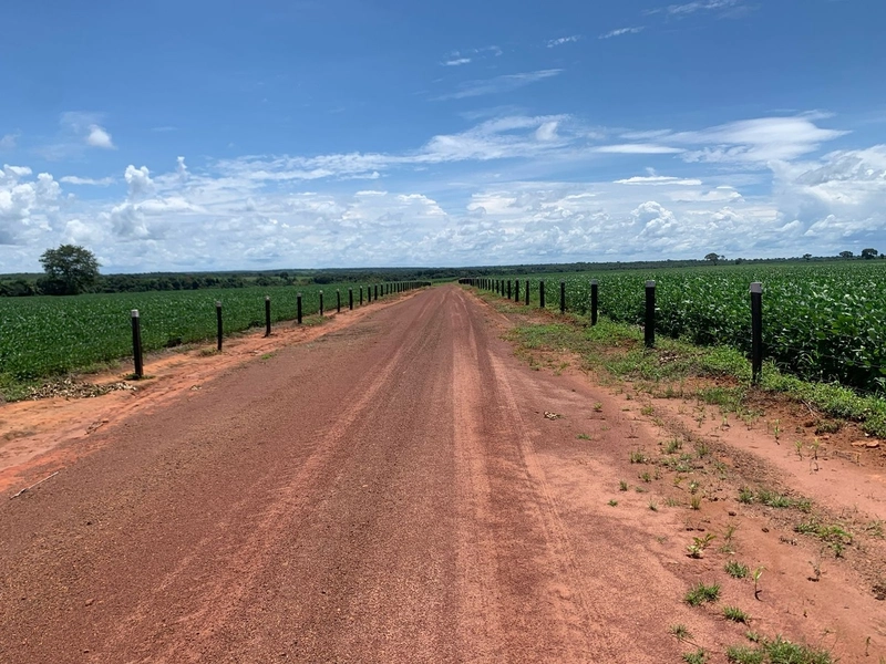 Fazenda, 100 alq. (484 Ha), em São M. do Araguaia-GO 363 ha agricultáv: 22ª foto da galeria de imagens do imóvel
