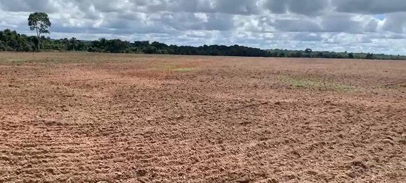 Fazenda, 100 alq. (484 Ha), em São M. do Araguaia-GO 363 ha agricultáv: 3ª foto da galeria de imagens do imóvel