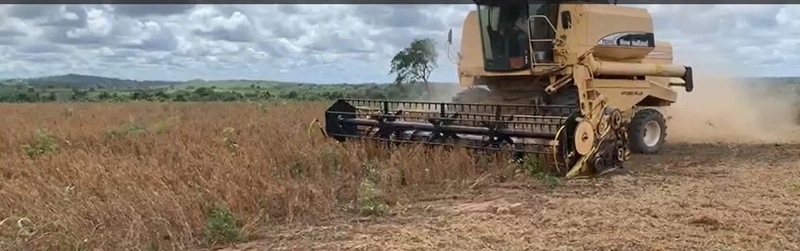 Fazenda, 100 alq. (484 Ha), em São M. do Araguaia-GO 363 ha agricultáv: 6ª foto da galeria de imagens do imóvel