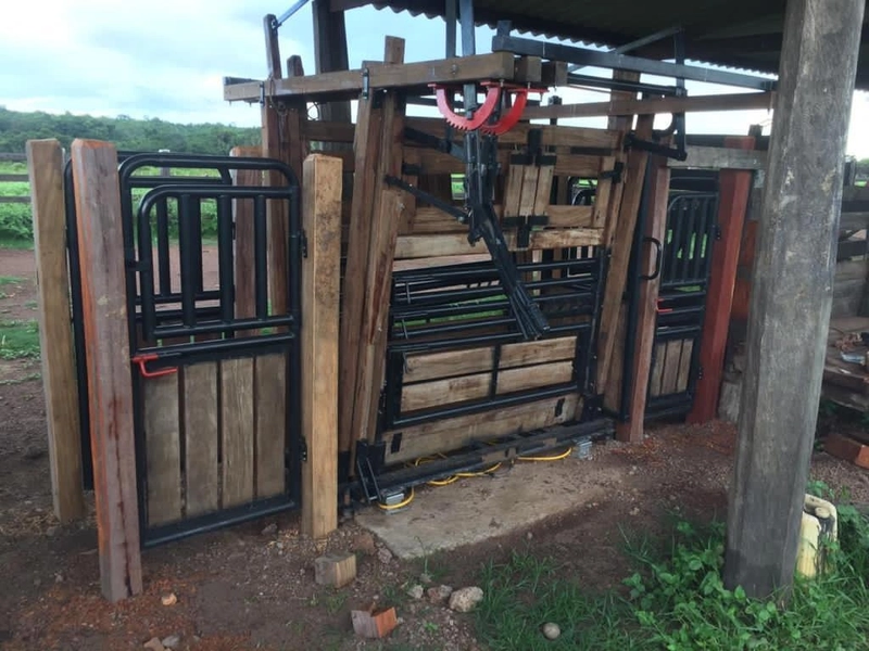 Fazenda, 100 alq. (484 Ha), em São M. do Araguaia-GO 363 ha agricultáv: 14ª foto da galeria de imagens do imóvel