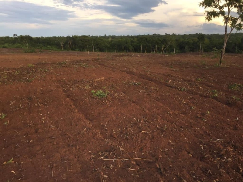 Fazenda, 100 alq. (484 Ha), em São M. do Araguaia-GO 363 ha agricultáv: 9ª foto da galeria de imagens do imóvel