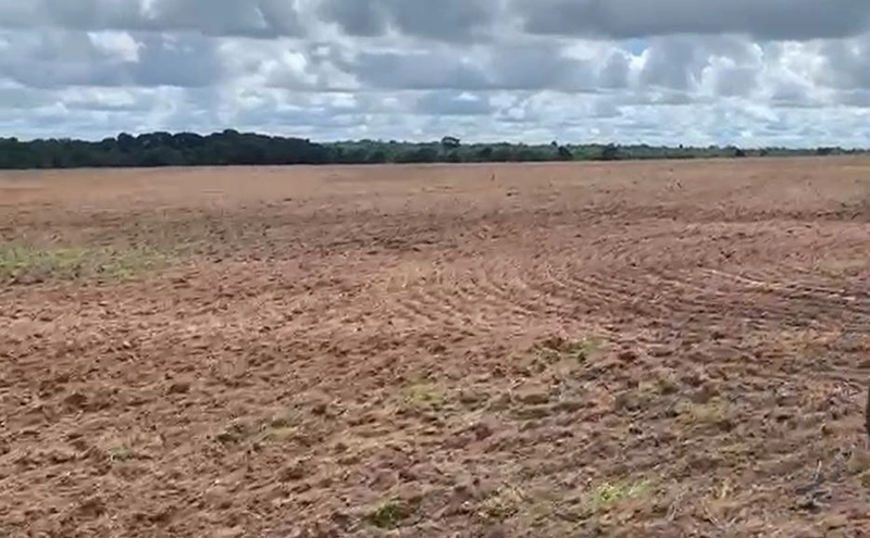Fazenda, 100 alq. (484 Ha), em São M. do Araguaia-GO 363 ha agricultáv: 4ª foto da galeria de imagens do imóvel