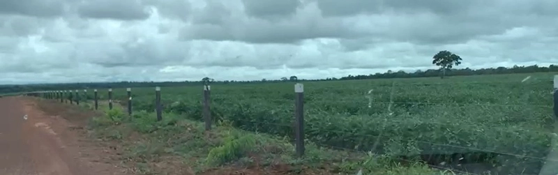 Fazenda, 100 alq. (484 Ha), em São M. do Araguaia-GO 363 ha agricultáv: 5ª foto da galeria de imagens do imóvel