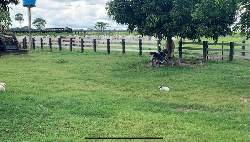 Fazenda, 100 alq. (484 Ha), em São M. do Araguaia-GO 363 ha agricultáv: 17ª foto da galeria de imagens do imóvel