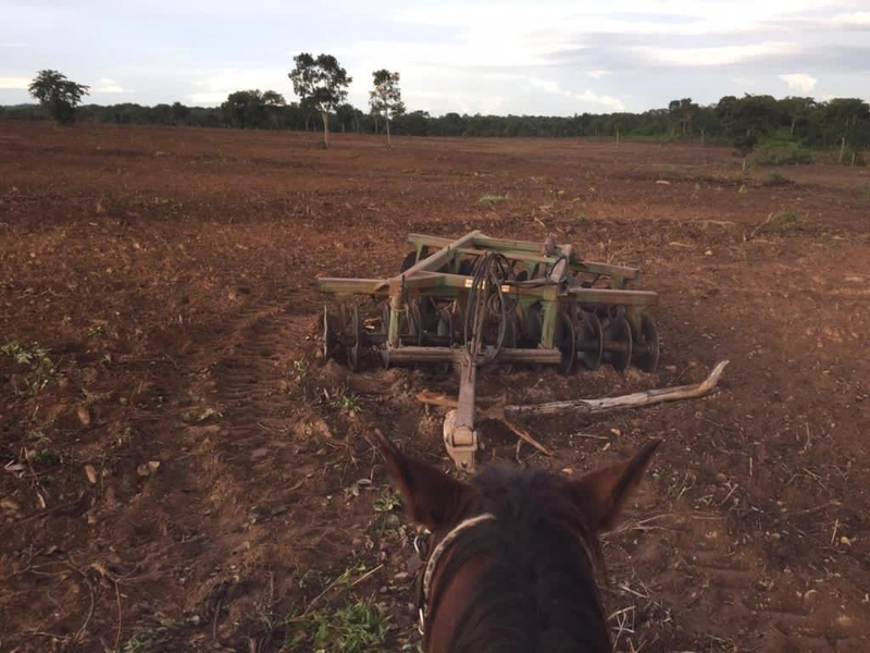 Fazenda, 100 alq. (484 Ha), em São M. do Araguaia-GO 363 ha agricultáv: 10ª foto da galeria de imagens do imóvel