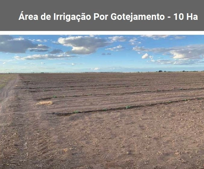 FAZENDA, 1.125 HA, EM BARREIRAS/LEM-BA PORTEIRA FECHADA: 10ª foto da galeria de imagens do imóvel
