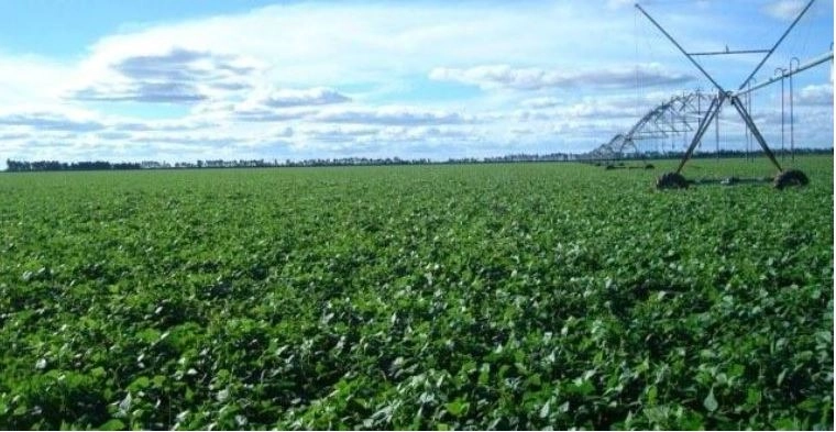 FAZENDA, 1.125 HA, EM BARREIRAS/LEM-BA PORTEIRA FECHADA: 5ª foto da galeria de imagens do imóvel