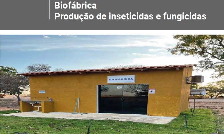 FAZENDA, 1.125 HA, EM BARREIRAS/LEM-BA PORTEIRA FECHADA: 20ª foto da galeria de imagens do imóvel
