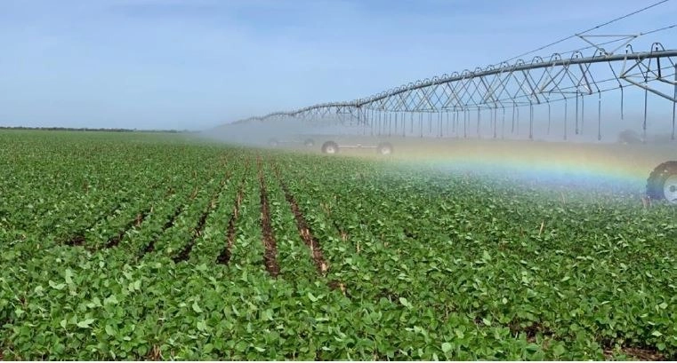 FAZENDA, 1.125 HA, EM BARREIRAS/LEM-BA PORTEIRA FECHADA: 1ª foto da galeria de imagens do imóvel