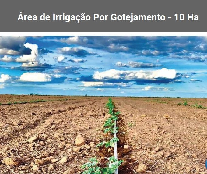 FAZENDA, 1.125 HA, EM BARREIRAS/LEM-BA PORTEIRA FECHADA: 11ª foto da galeria de imagens do imóvel