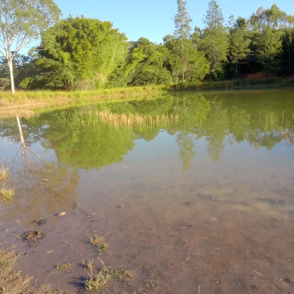 Fazenda para PECUÁRIA à venda, 408 Ha, em Jaboticatubas-MG perto de BH: 18ª foto da galeria de imagens do imóvel