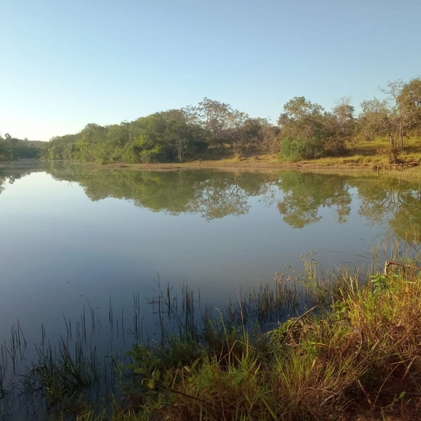 Fazenda para PECUÁRIA à venda, 408 Ha, em Jaboticatubas-MG perto de BH: 16ª foto da galeria de imagens do imóvel