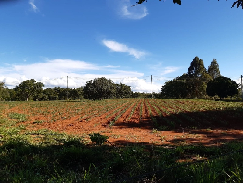 Fazenda para PECUÁRIA à venda, 408 Ha, em Jaboticatubas-MG perto de BH: 12ª foto da galeria de imagens do imóvel