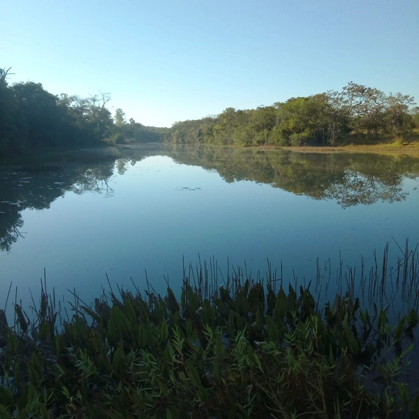 Fazenda para PECUÁRIA à venda, 408 Ha, em Jaboticatubas-MG perto de BH: 15ª foto da galeria de imagens do imóvel