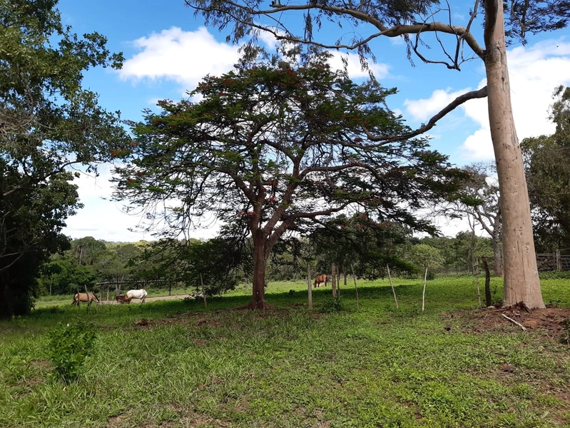 Fazenda para PECUÁRIA à venda, 408 Ha, em Jaboticatubas-MG perto de BH: 1ª foto da galeria de imagens do imóvel