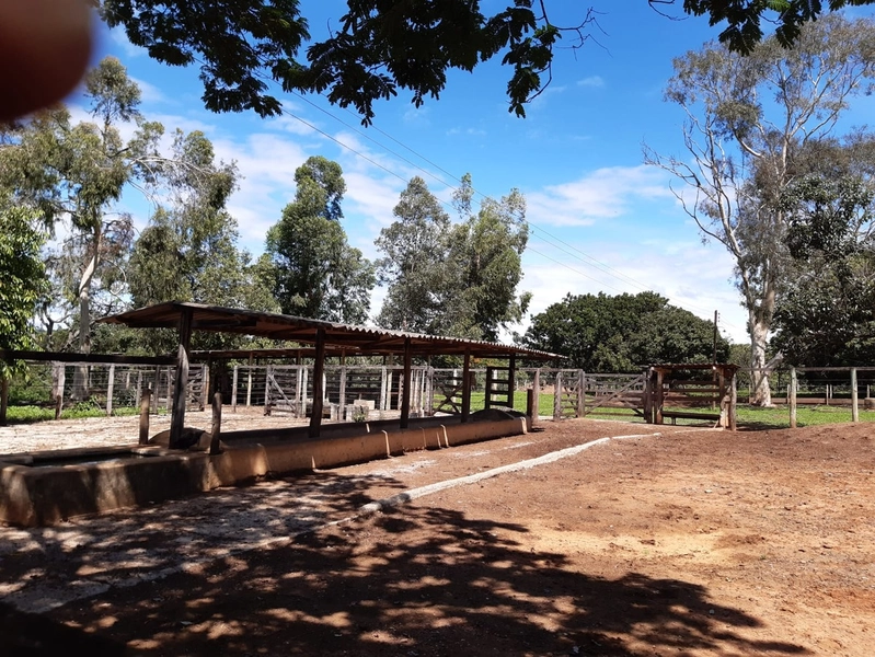 Fazenda para PECUÁRIA à venda, 408 Ha, em Jaboticatubas-MG perto de BH: 9ª foto da galeria de imagens do imóvel