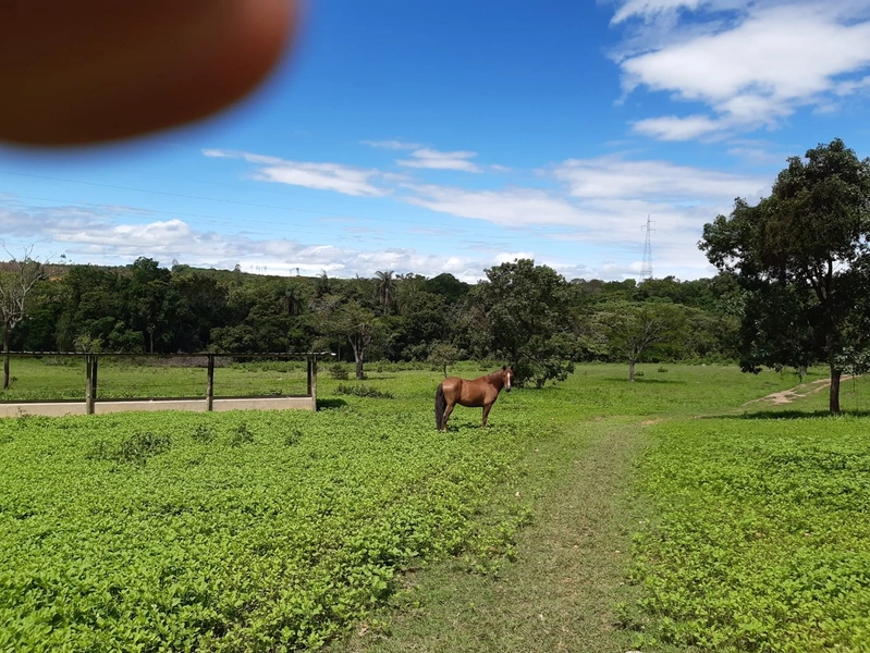 Fazenda para PECUÁRIA à venda, 408 Ha, em Jaboticatubas-MG perto de BH: 7ª foto da galeria de imagens do imóvel