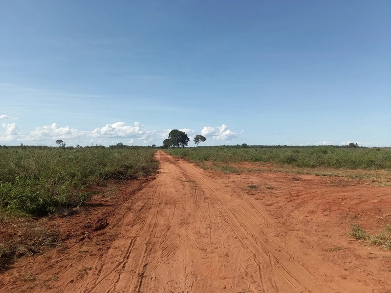 Fazenda 3.700 Ha, em João Pinheiro-MG 2.400 ha agricultáveis