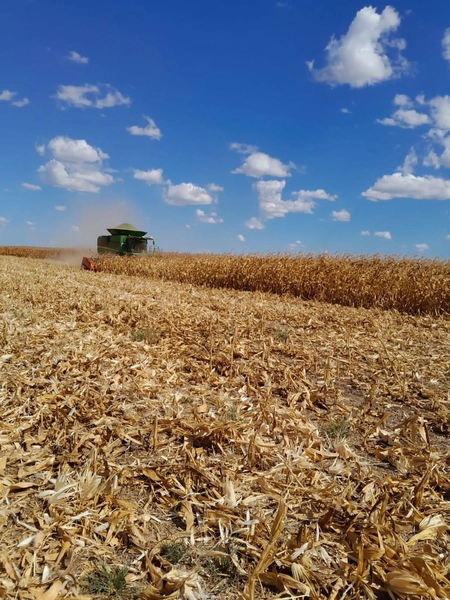 Fazenda à venda para AGRICULTURA, 2.300 Ha, em Jussara-GO: 11ª foto da galeria de imagens do imóvel