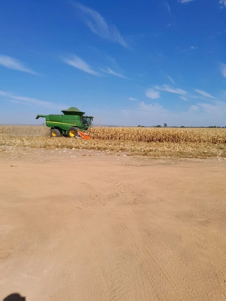 Fazenda à venda para AGRICULTURA, 2.300 Ha, em Jussara-GO: 6ª foto da galeria de imagens do imóvel