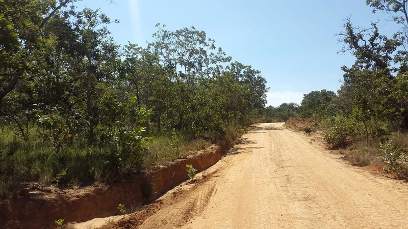 Fazenda à venda, 553 Ha, em Arinos-MG. 350 ha agricultáveis.: 2ª foto da galeria de imagens do imóvel