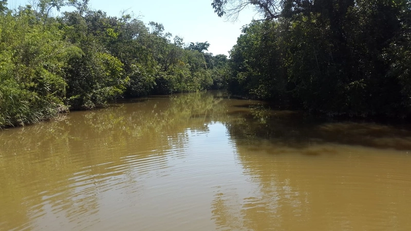 Fazenda à venda, 553 Ha, em Arinos-MG. 350 ha agricultáveis.: 1ª foto da galeria de imagens do imóvel