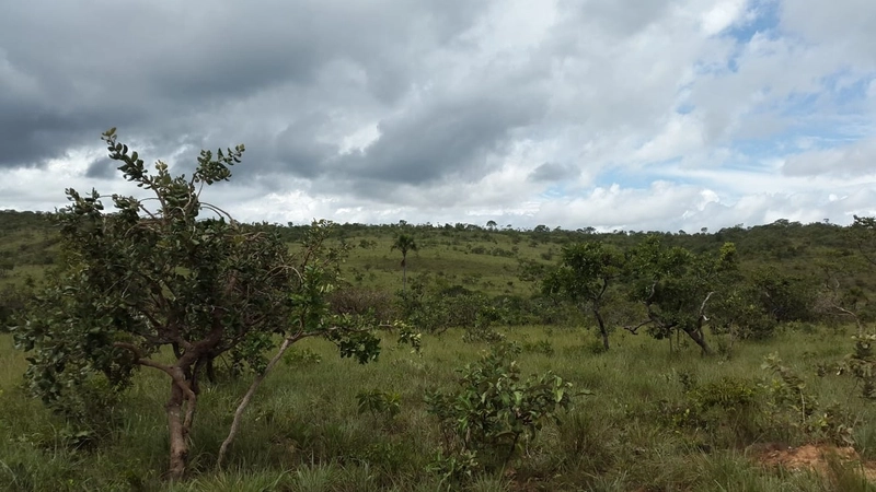 Fazenda à venda, 553 Ha, em Arinos-MG. 350 ha agricultáveis.: 13ª foto da galeria de imagens do imóvel