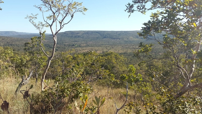 Fazenda à venda, 553 Ha, em Arinos-MG. 350 ha agricultáveis.: 11ª foto da galeria de imagens do imóvel