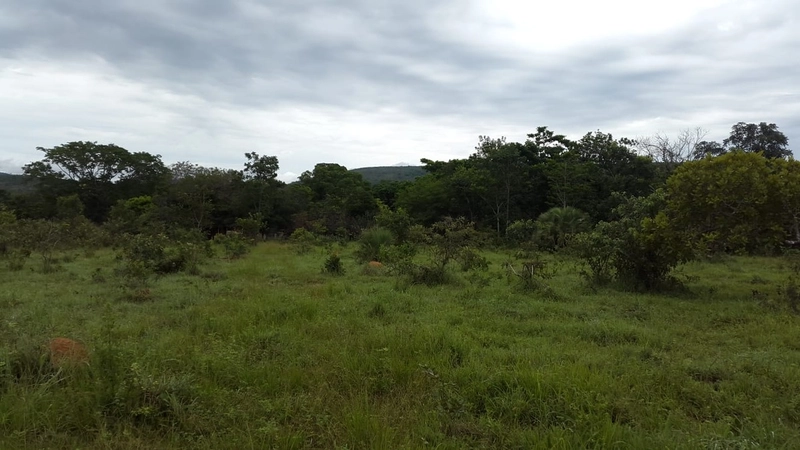 Fazenda à venda, 553 Ha, em Arinos-MG. 350 ha agricultáveis.: 5ª foto da galeria de imagens do imóvel
