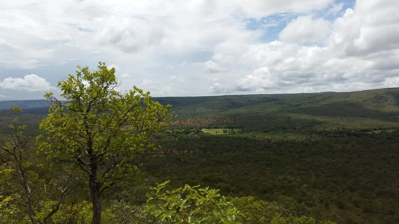 Fazenda à venda, 553 Ha, em Arinos-MG. 350 ha agricultáveis.: 12ª foto da galeria de imagens do imóvel