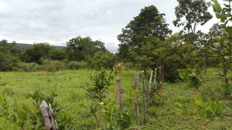 Fazenda à venda, 553 Ha, em Arinos-MG. 350 ha agricultáveis.: 4ª foto da galeria de imagens do imóvel