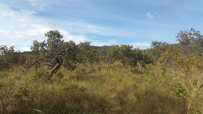 Fazenda à venda, 553 Ha, em Arinos-MG. 350 ha agricultáveis.: 10ª foto da galeria de imagens do imóvel
