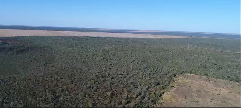 Fazenda, 444,21 alq. (2.150 Ha), em Mambai-GO, totalmente plana.: 6ª foto da galeria de imagens do imóvel