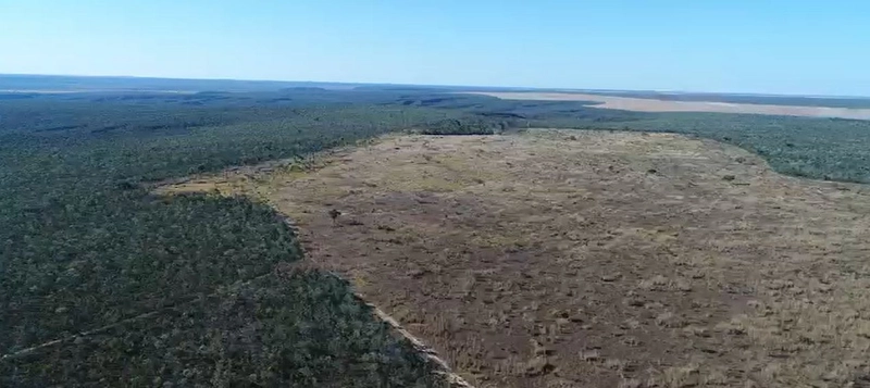 Fazenda, 444,21 alq. (2.150 Ha), em Mambai-GO, totalmente plana.: 5ª foto da galeria de imagens do imóvel