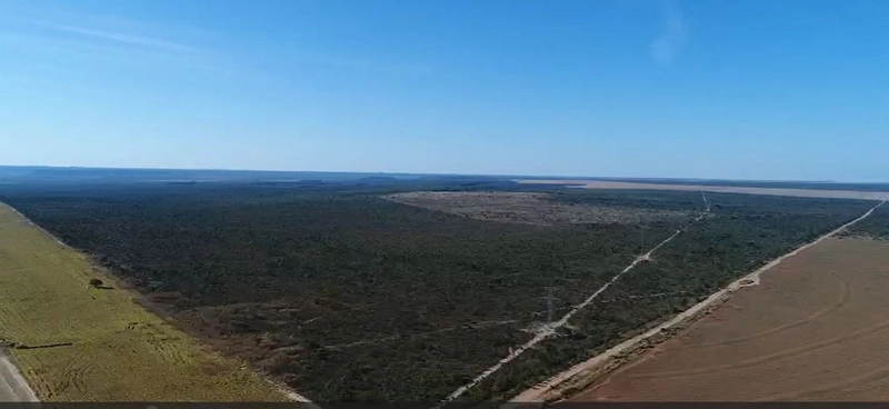 Fazenda, 444,21 alq. (2.150 Ha), em Mambai-GO, totalmente plana.: 4ª foto da galeria de imagens do imóvel