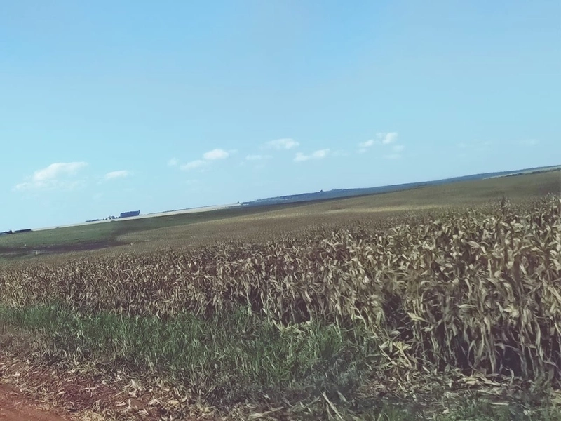 Fazenda para AGRICULTURA, 1.852 ha, em UNAÍ-MG. Com 7 pivôs: 20ª foto da galeria de imagens do imóvel