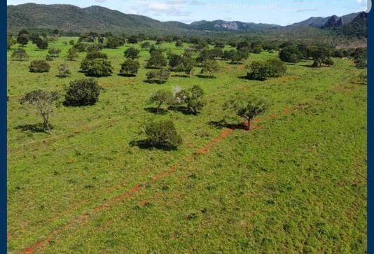Fazenda, 1.200 Ha, em Natalândia-MG PORTEIRA FECHADA COM MÁQUINAS E GA: 5ª foto da galeria de imagens do imóvel
