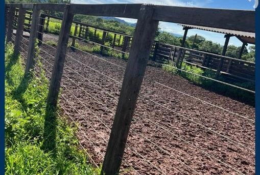 Fazenda, 1.200 Ha, em Natalândia-MG PORTEIRA FECHADA COM MÁQUINAS E GA: 6ª foto da galeria de imagens do imóvel