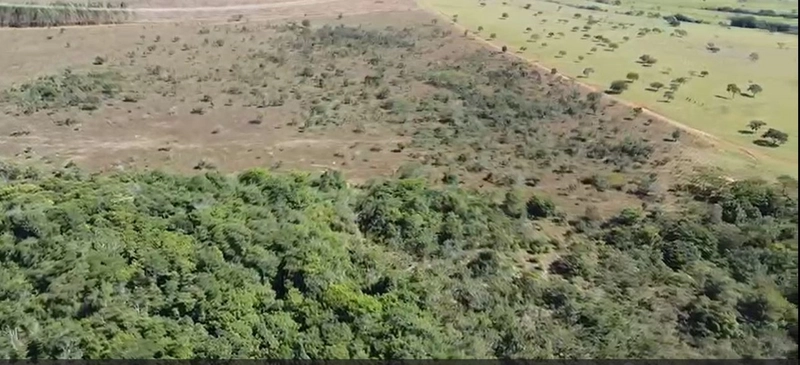 Área para investimento imobilário - Beira do lago - Abadiânia-GO: 12ª foto da galeria de imagens do imóvel