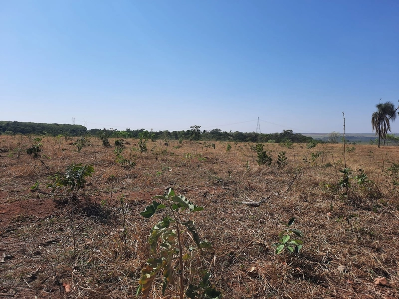 Fazenda/Área para Agricultura. Cidade Ocidental, próximo a Luziânia-GO: 4ª foto da galeria de imagens do imóvel