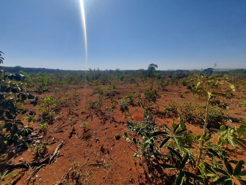 Fazenda/Área para Agricultura. Cidade Ocidental, próximo a Luziânia-GO: 1ª foto da galeria de imagens do imóvel