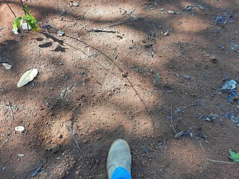 Fazenda/Área para Agricultura. Cidade Ocidental, próximo a Luziânia-GO: 8ª foto da galeria de imagens do imóvel
