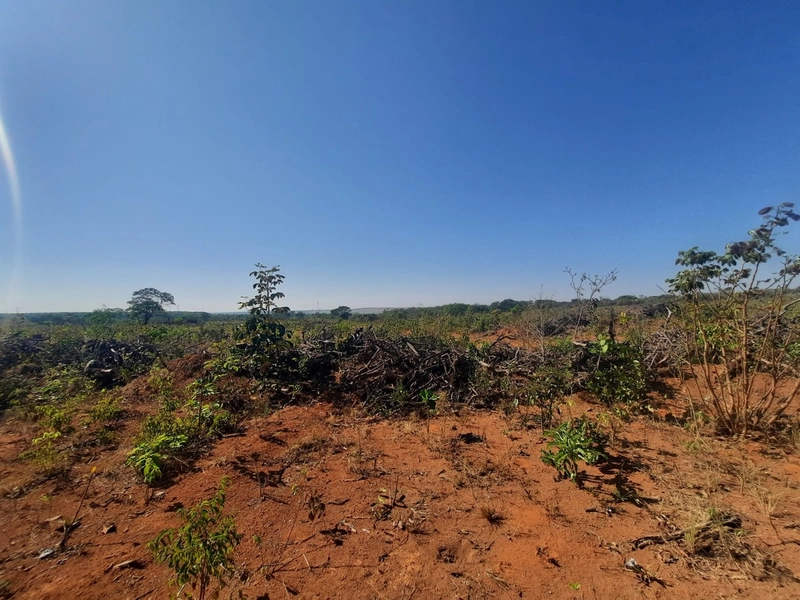 Fazenda/Área para Agricultura. Cidade Ocidental, próximo a Luziânia-GO: 12ª foto da galeria de imagens do imóvel