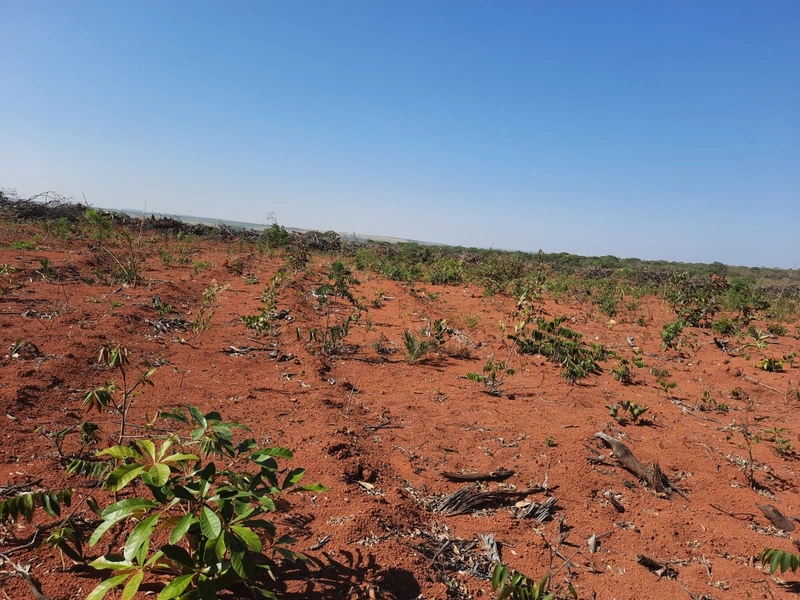 Fazenda/Área para Agricultura. Cidade Ocidental, próximo a Luziânia-GO: 11ª foto da galeria de imagens do imóvel