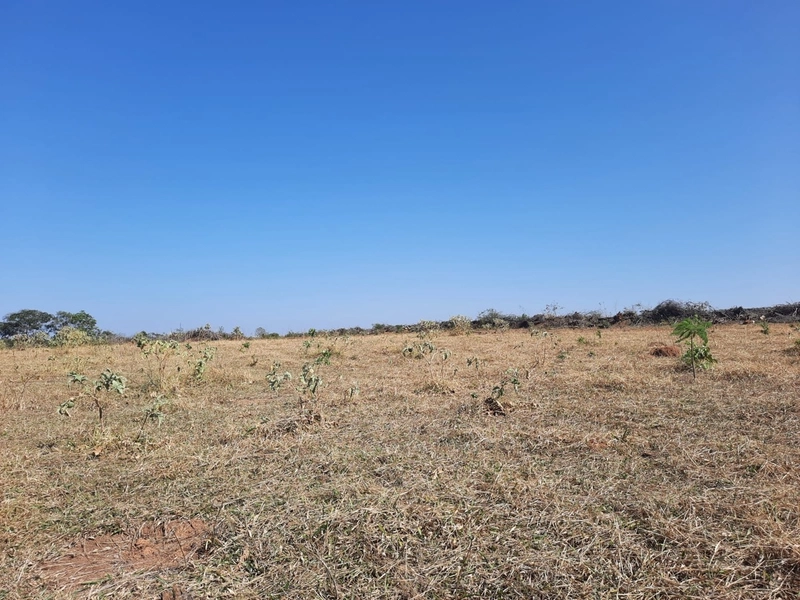 Fazenda/Área para Agricultura. Cidade Ocidental, próximo a Luziânia-GO: 3ª foto da galeria de imagens do imóvel