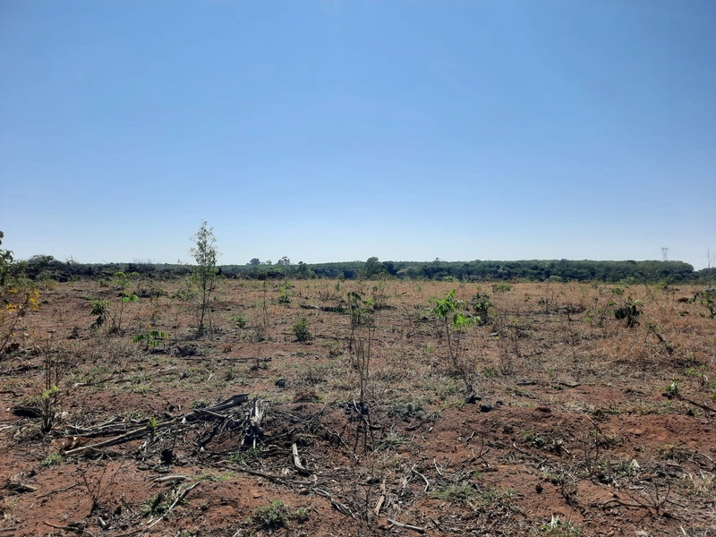 Fazenda/Área para Agricultura. Cidade Ocidental, próximo a Luziânia-GO: 2ª foto da galeria de imagens do imóvel