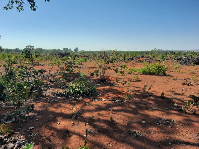 Fazenda/Área para Agricultura. Cidade Ocidental, próximo a Luziânia-GO: 7ª foto da galeria de imagens do imóvel