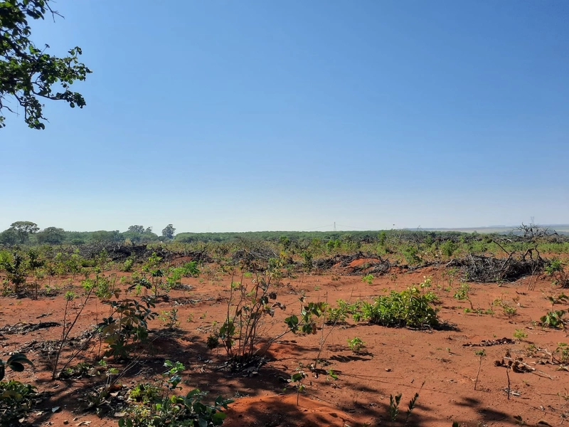 Fazenda/Área para Agricultura. Cidade Ocidental, próximo a Luziânia-GO: 6ª foto da galeria de imagens do imóvel